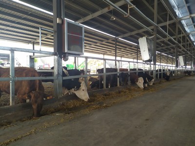 唐河縣 產(chǎn)業(yè)賦能鄉(xiāng)村振興 畜牧漁業(yè)飼料銷售新篇章